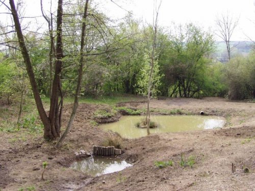 Studánka na Popovsku - 19.3.2005